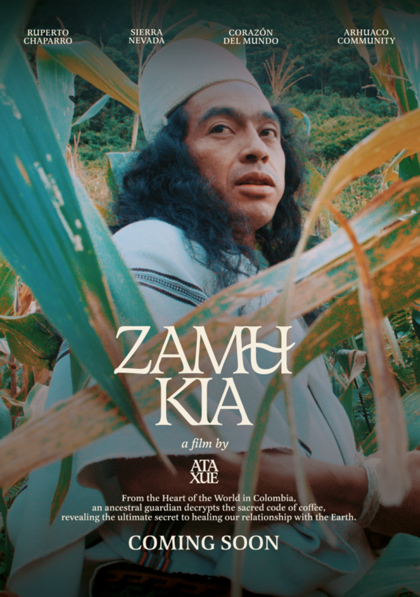 Zamu Kia · Iku Specialty Coffee