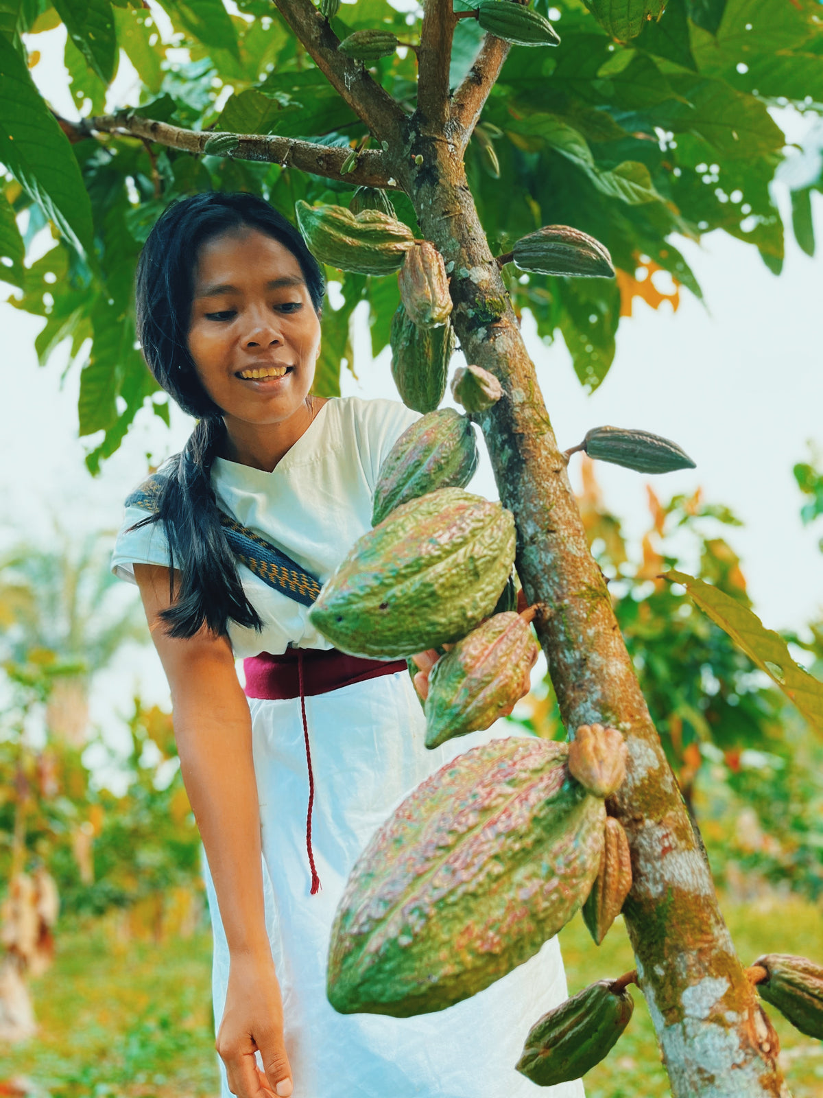 Productor Iku con fruto de cacao