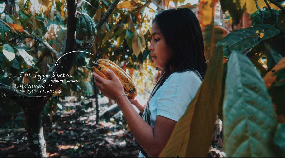 Yuli and the Cacao Forest